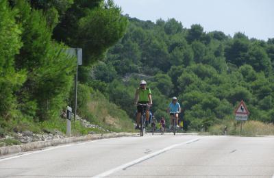 Apartmani Ćale - Maslinica