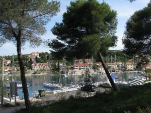 Apartments Maslinica 6