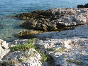 Apartments Maslinica 14