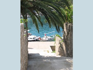 Apartments Maslinica 16